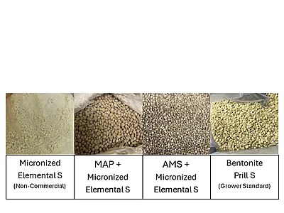 Figure 1. Elemental S sources evaluated, illustrating particle size and granulation effects on S oxidation potential.