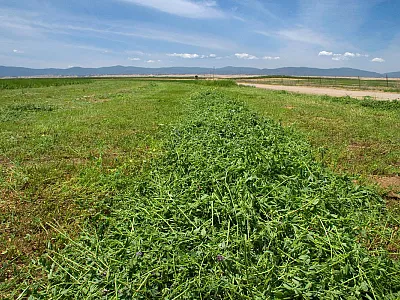 Photo courtesy of Image Source Limited/Alamy.