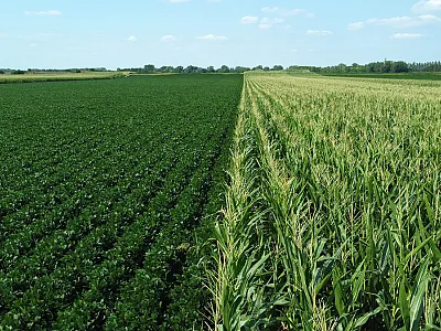 Photo courtesy of Adobe Stock/Jana.