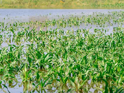 Photo courtesy of Adobe Stock/andov.