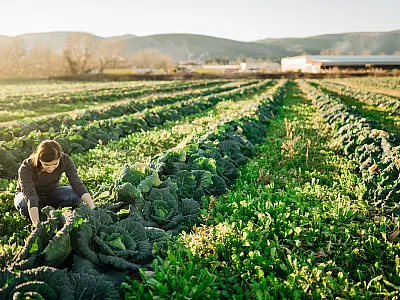 Photo courtesy of Adobe Stock/eldarnurkovic.