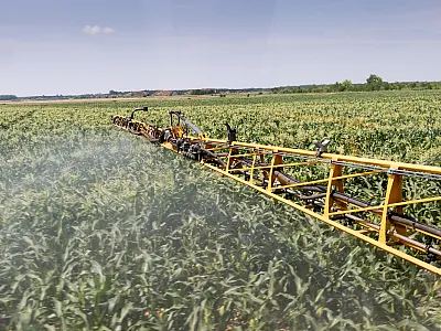 Photo courtesy of Adobe Stock/ kocsisanyi78.