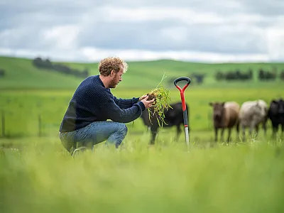 Photo courtesy of Adobe Stock/William
