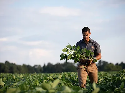 Photo courtesy of the United Soybean Board. CC BY 2.0.