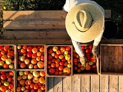 Photo courtesy of Adobe Stock/Robert Peak.