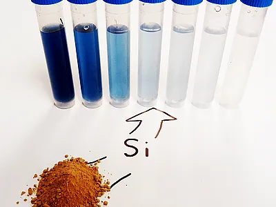 Color development due to increasing Si concentrations in the molybdate blue method for analyzing monomeric silicic acid. Photo courtesy of Matt Limmer.