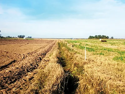 Conventional rice cultivation system (left) under plowing and heavy disking and winter fallow; and integrated crop-livestock system (right) under no-till and cattle grazing in winter in a Brazilian subtropical region.