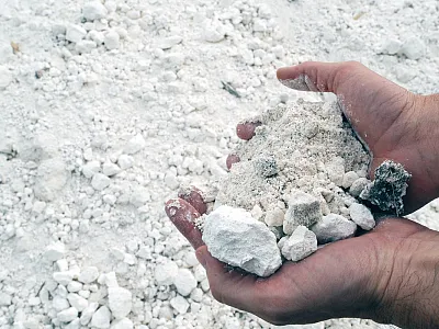 A new study aims to establish criteria for when to use gypsum instead of lime in no-till soils and to examine how gypsum might help root growth. Photo courtesy of Warren Dick.