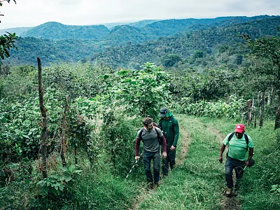 Researchers and farmers at a coffee farm in Yepocapa, Guatemala. Photo by Devon Barker.