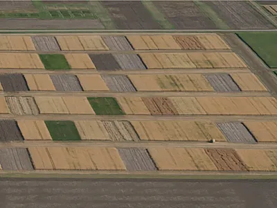 “New Rotation” at Swift Current, SK, Canada, which was initiated in 1987. Photo Credit: Darcy Schott.