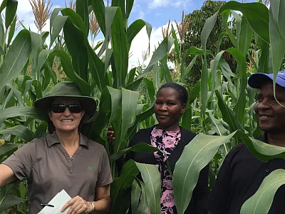 Sarah Collinson of Corteva Agriscience (left) evaluating pollination in Kenya with Kenya Agriculture Research and Livestock Organization (KALRO) collaborators.