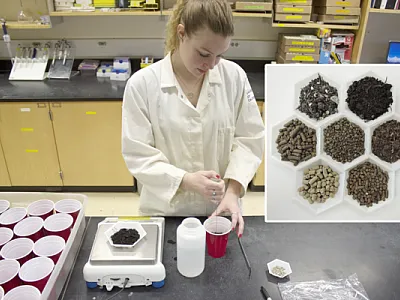 Amendments were mixed with soil, adjusted to optimum moisture, and incubated in plastic cups for 1, 3, 6, and 12 weeks.