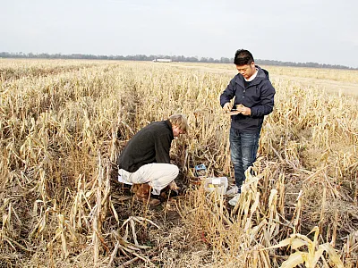 Yang, W., Feng, G., Read, J.J., Ouyang, Y., Han, J., & Li, P. (2020). Impact of cover crop on corn–soybean productivity and soil water dynamics under different seasonal rainfall patterns. Agronomy Journal, 112. https://doi.org/10.1002/agj2.20110