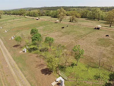 Cattle shade structures and waterer are at the top of the slope with flumes at the base of each watershed and auto samplers housed in adjacent sheds.