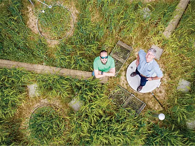 Jannis Groh (left) and Thomas Pütz at the experimental lysimeter site that belongs to the TERrestrial ENviromental Observatories (TERENO)-SOILCan lysimeter network. Photo by Forschungszentrum Jülich/Sascha Kreklau.