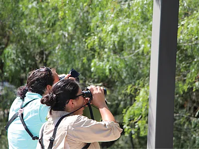 Janel Ortiz (right) assisting an educator (left) in locating and identifying a bird. Photo by Angelica Arredondo.