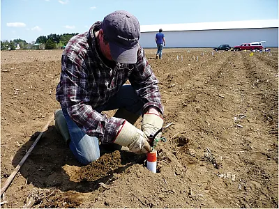 Dr. Athyna Cambouris's research team member installing a suction lysimeter during a field experiment in Quebec, Canada. Photo by Athyna Cambouris.