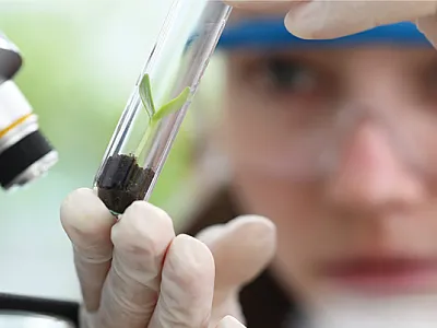 Source: Adobe Stock/H_Ko.