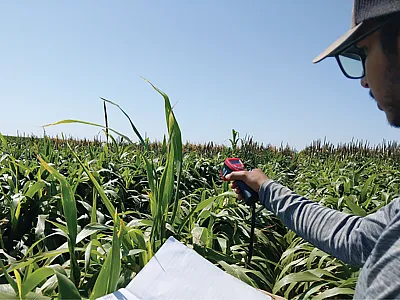 Bishwoyog Bhattarai, a graduate student in Dr. Sukhbir Singh’s lab at Texas Tech University, measuring the canopy temperature using the infrared thermometer. Photo by Sukhbir Singh.
