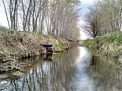 A tile draining excess water from adjacent farmland. This tile drainage water is a large contributor of nitrate to surface water bodies, especially in the agricultural Midwest. The treatment of this tile drainage water is one of the primary focal points for the Managing Denitrification in Agronomic Systems Community.