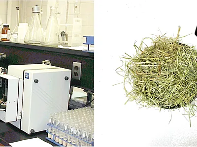 Left: A researcher prepares samples contained in scanning cups to be scanned in a benchtop near-infrared spectrometer. Right: Grass sample ready to be scanned using a handheld spectrometer. Photo on the right courtesy of Miguel Castillo.