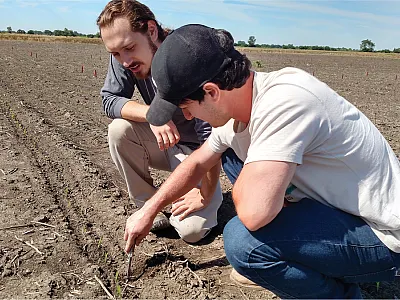 Levi Krepischi (foreground) and Kyle Nemergut (background) verifying planting depth. Photo by Alex Lindsey.