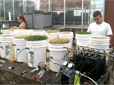 Undergraduate students Shavonne Stanek (left) and Shawn Lopez (right) collecting leachate from containers. Photo by Elena Sevostianova.