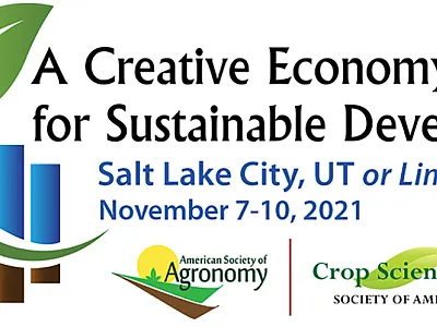 A Creative Economy for Sustainable Development