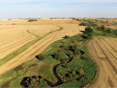 Prior to installation of a saturated riparian buffer. After the installation, the field on the left will include a strip of prairie plants between the field and the stream. Photo by Lynn Betts, USDA-NRCS.