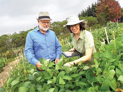 Soybean genomicists and co-authors of the Crop Science article Martine Jean (right) and François Belzile are working with Canadian soybean breeders to assist in the identification of the most promising combinations of parents to maximize yield potential within the different maturity groups grown in Canada. Photo by Caroline Labbé.