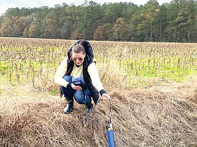 Sabrina Klick, first author of the article, taking water temperature, oxidation-reduction potential, pH, and dissolved oxygen metrics from water in an agricultural drainage ditch. Photo by Joseph Haymaker.
