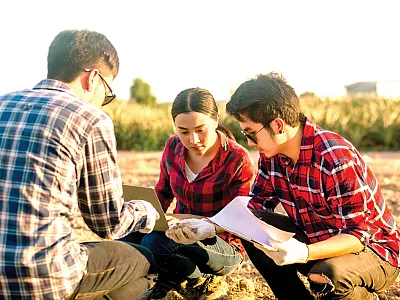 Source: Adobe Stock/Pop Sujinun.