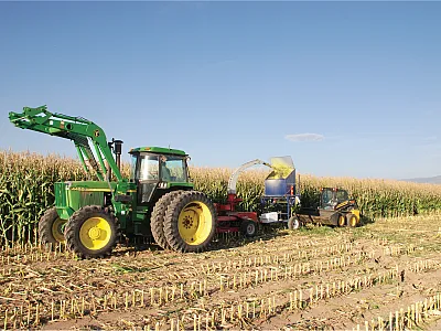 Researchers harvesting silage corn plots in a study looking at tillage, herbicide, and corn fertilizer N rate. Photo by Jason Clark.