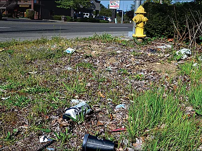 Plastic waste along a roadside. Discarded plastic bottles and cups will ultimately break down into micro- and nanoplastics and accumulate in the soil. Photo by Markus Flury.