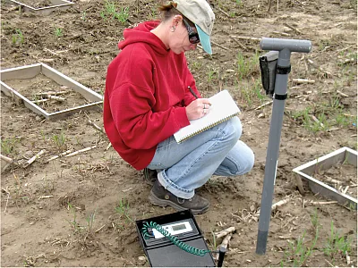 Jessica Sherman taking notes in the research field plots. Photo by William Jokela.