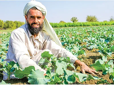 Individuals living outside of North American will now how have a greater opportunity to become certified through the ICCA Program. Photo courtesy of USAID/Afghanistan.
