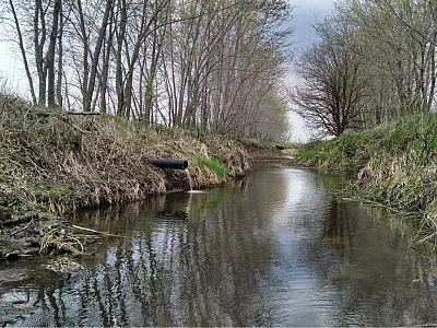Some of the most highly cited papers in the Journal of Environmental Quality have revolved around nitrogen or phosphorus losses to surface or groundwater and the resulting outcomes. Photo courtesy of Tyler Groh.