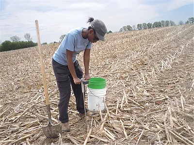 Dr. Christine Sprunger taking a soil health sample in the survey. Photo by Brendan O’Neill.
