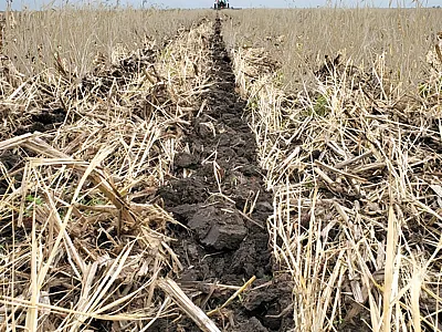 One idea that is gaining considerable traction with both private industry and policymakers is that of offering producers payment for carbon sequestration practices. This photo, courtesy of Rajveer Sing, shows a no-tillage planter drilling corn seed with minimal soil disturbance into the previous year’s cover crop residue.