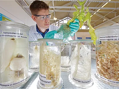 Another traditional career path is going to work in industry, like this Bayer scientist shown here. Photo courtesy of Bayer AG.