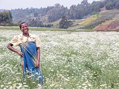 A farmer stands in her blooming pyrethrum field in Tanzania. Photo by Pyrethrum Company of Tanzania.