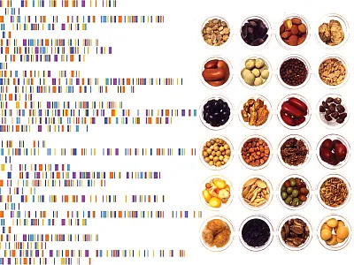 Source: Adobe Stock/yepifanovahelen and USDA-ARS.