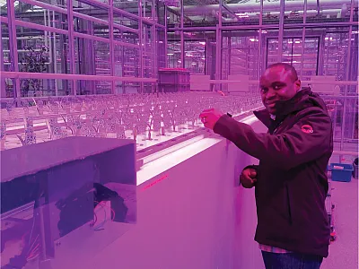 Lead author Solomon Ehosioke inspecting plants in the aeroponics growth chamber. Photo by Maxime Phalempin.