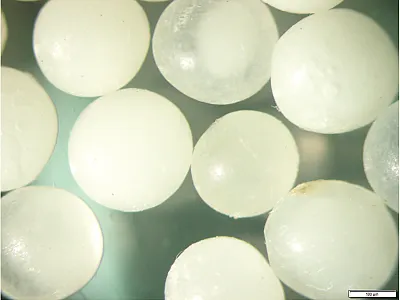 Using microscopy to characterise the release stage of controlled-release fertilizers helped explain the effect of soil water on nitrogen release, highlighting the strengths of collaborating across disciplines. Photo by J.M. Poole.