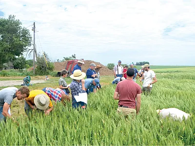 Iowa farmers at a field day for small grains in extended rotations. Photo courtesy of Practical Farmers of Iowa.