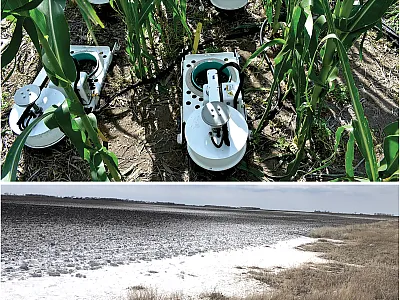 Top: Chambers for taking greenhouse gas measurements in the field. Bottom: That’s not snow—it’s salt. Some areas on the righthand side of this photo are starting to look a bit better after four years. Photos courtesy of Sharon Clay.