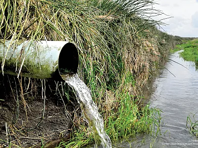 A tile drain flowing in Indiana. Photo by Jane Frankenberger.