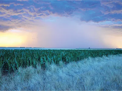 Photo by Paramveer Singh.