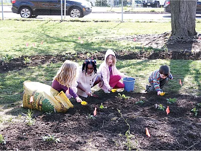 A collaboration of scientists and the general public led to a study that looked at the risk of exposure to heavy metals that children face in preschool gardens and play areas. Photo by Robert H. Pos/USFWS.