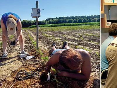 Our members are working to solve complex problems. From l to r: Extracting DNA to be used for genotyping, installing soil water potential sensors, and using modeling to predict yields and soil water and nitrogen dynamics. Photos courtesy of Aduragbemi Amo, Sayantan Sarkar, and Tracy Schlater.